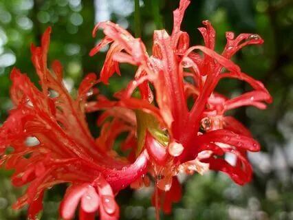 Creative Expression - Why It's Necessary