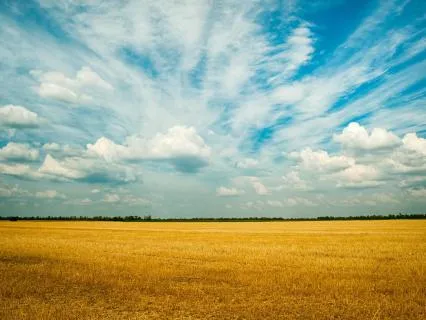 Creative Flow — Enter Your Work