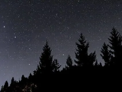 Creative Flow & Intuition