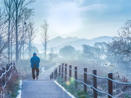 Creative Flow Walk With Shamanic Drumming (Short)