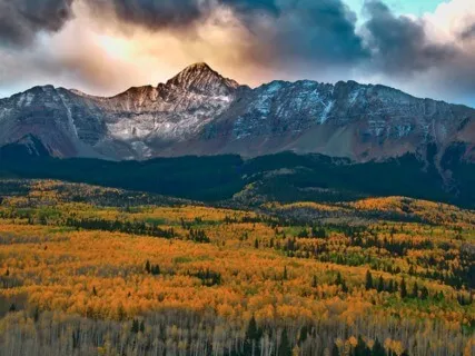 Creative Healing In The Quantum