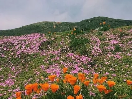 Creative Highest Self Visualisation