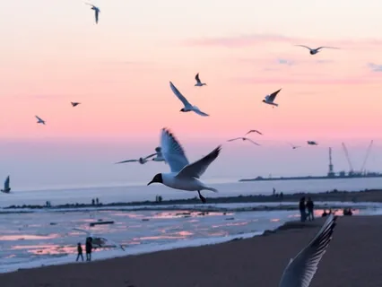 Creative Imagination: Peaceful Ambience