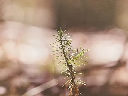 Creative Prayer: The Well