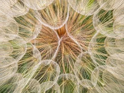 Creative Shapeshift: Play With A New Perspective