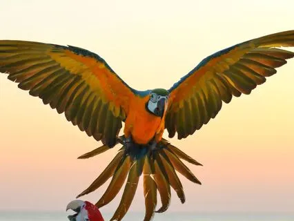 Creativity Affirmations