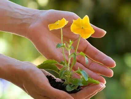 Creativity And Confidence Meditation