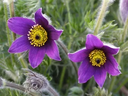 Creativity & Creative Ideas