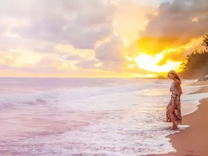 Creativity Companion