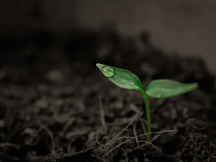 Creativity For The Bereaved With Joanne Fink