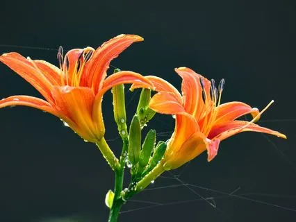 Creativity & Inspiration Affirmations