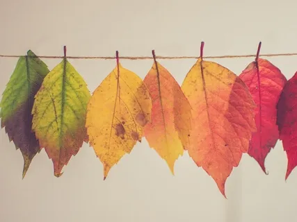 Creativity Is An Inside Job