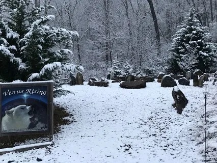 Creature Teachers Guided Journey