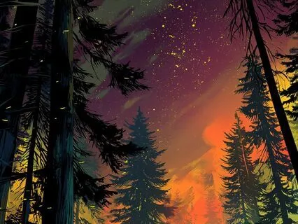 Crickets And Constellations