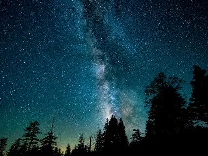 Crickets and Journey Drums