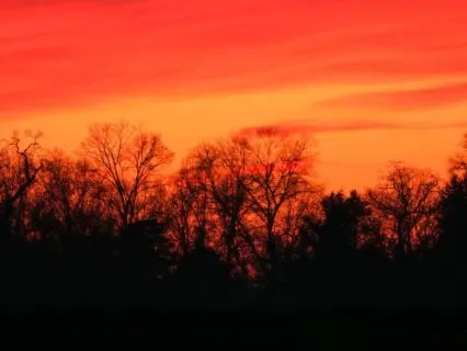Crimson Skies