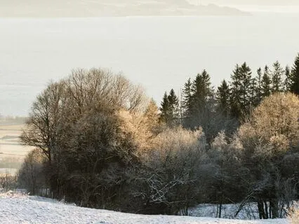 Crisp Winter Morning