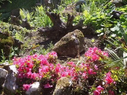 Crossing Into New Beginnings (No Music)