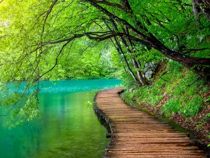 Crown Chakra Activation