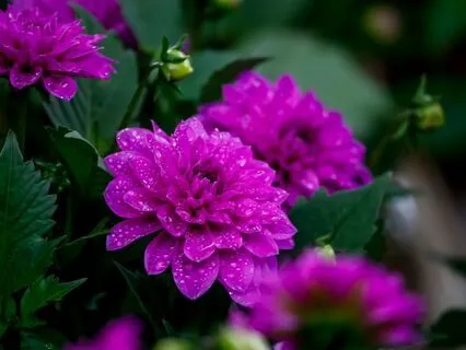 Crown Chakra Affirmations 936Hz