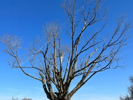 Crown Chakra Affirmations With Music