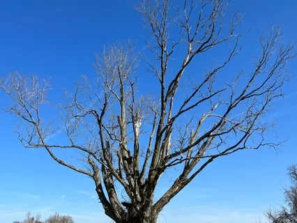 Crown Chakra Affirmations Without Music