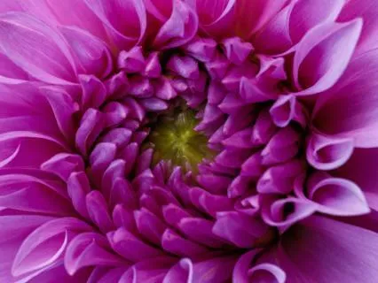 Crown Chakra Crown Chakra For Women