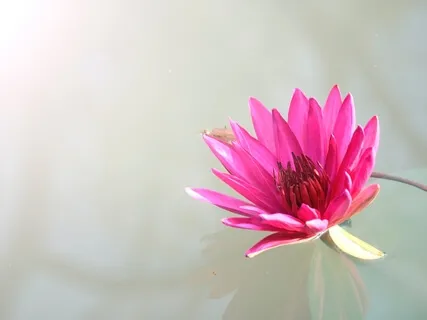 Crown Chakra Crystal Singing Bowl Extended 432Hz