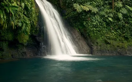 Crown Chakra - Healing Energy - Divine Meditation