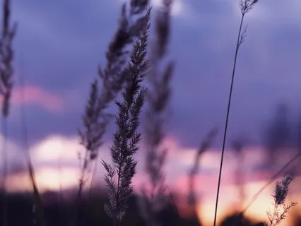 Crown Chakra Illumination Through EFT And Yoga Nidra