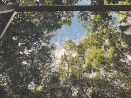 Crown Chakra Light Language Transmission