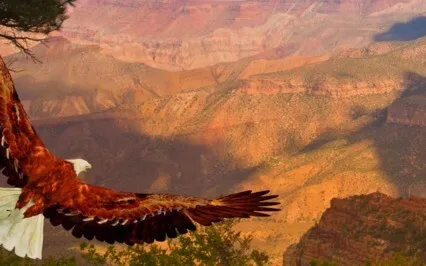 Crown Chakra Meditation 