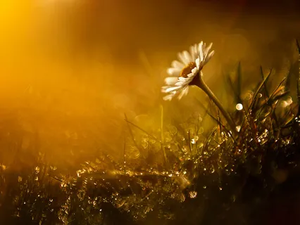 Crown Chakra Meditation