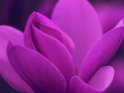 Crown Chakra Meditation: Feel Your Divinity