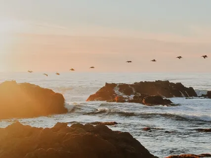 Crown Chakra Meditation: Illumination