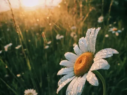 Crown Chakra Opening Meditation