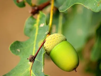 Crown Chakra Reset: Letting Go And Trusting Life