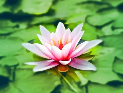 Crown Chakra Therapy - Guided Meditation