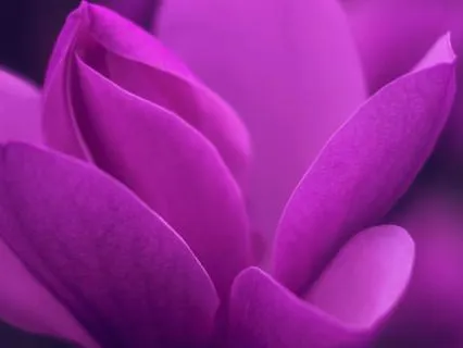 Crown Chakra Yin Yoga