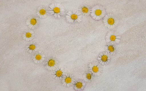 Crown Of Daisies - A Meditation To Help Under 5s With Grief