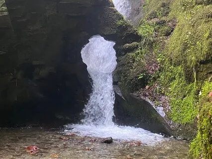 Crown Your Creator Within