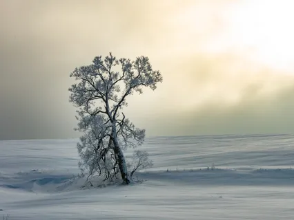 Healing The Aura With Crystal Angels