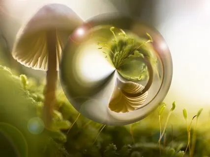 Crystal Bowl C# Sound HQ Meditation | Healing