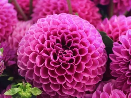 Crystal Bowl In A (Third Eye Chakra)