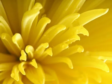 Crystal Bowl in E (Solar Plexus)