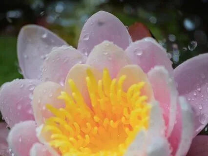 Crystal Bowl Sound Bath For Stress Relief (20-Minutes)