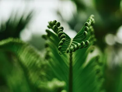 Crystal Bowls With Indigenous Music