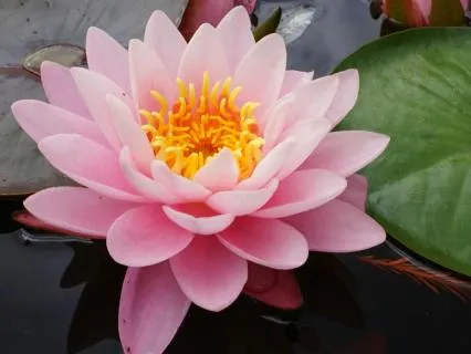 Crystal Clear Clarity