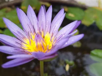 Crystal Focus 2 - 432hz Smile