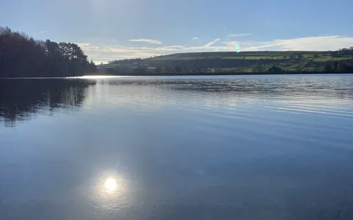 Crystal Healing Bowl In Low C To Balance Root Chakra